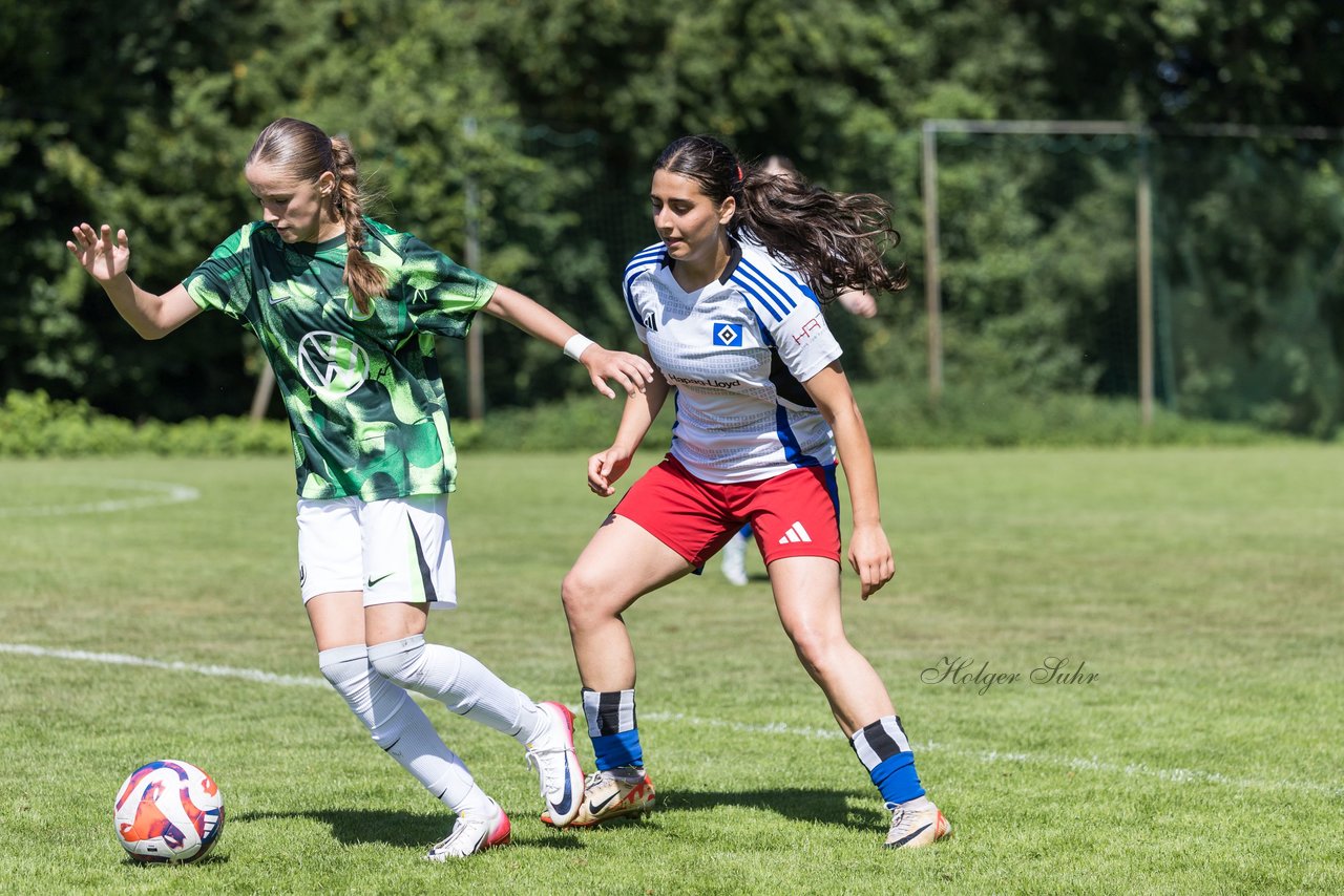 Bild 427 - wBJ Hamburger SV - VfL Wolfsburg : Ergebnis: 5:1